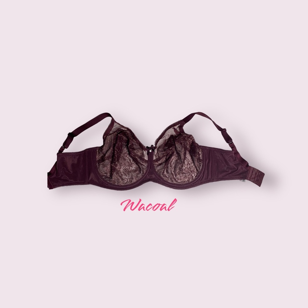 Wacoal Retro Chic Full Figure Bra 36G